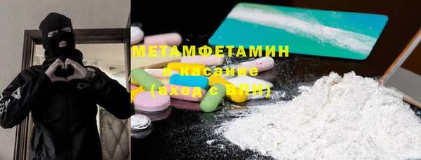 сатива Вяземский