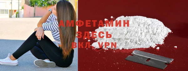 сатива Вяземский