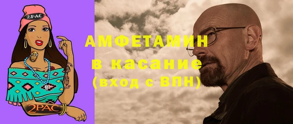 сатива Вяземский