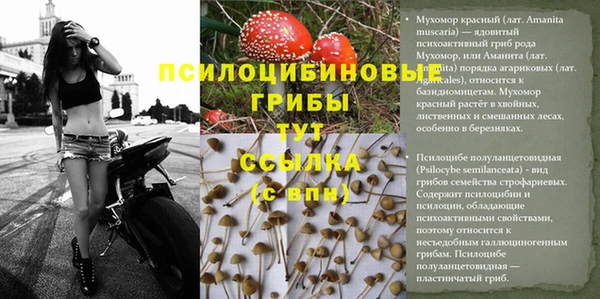 бошки Вязники
