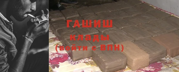 сатива Вяземский