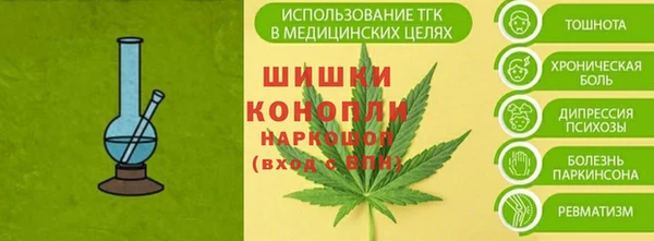 сатива Вяземский
