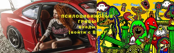сатива Вяземский
