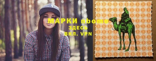 сатива Вяземский