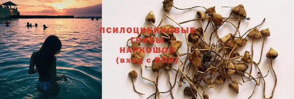 прущие крисы Осинники