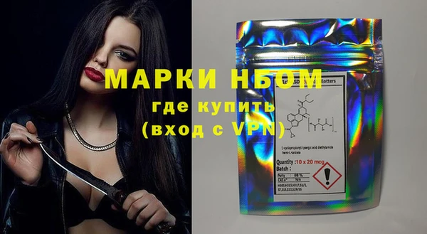 сатива Вяземский