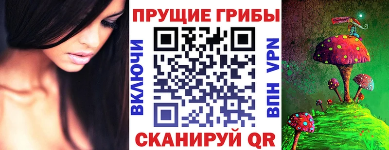 OMG зеркало  Ярославль  Псилоцибиновые грибы GOLDEN TEACHER  купить  